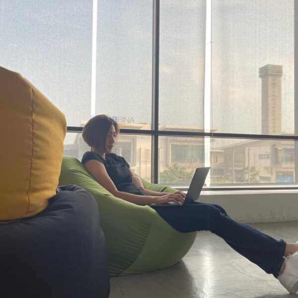 بین بگ مدل گلابی